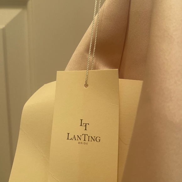 Aline evening blush colored dress - Picture 15 of 16